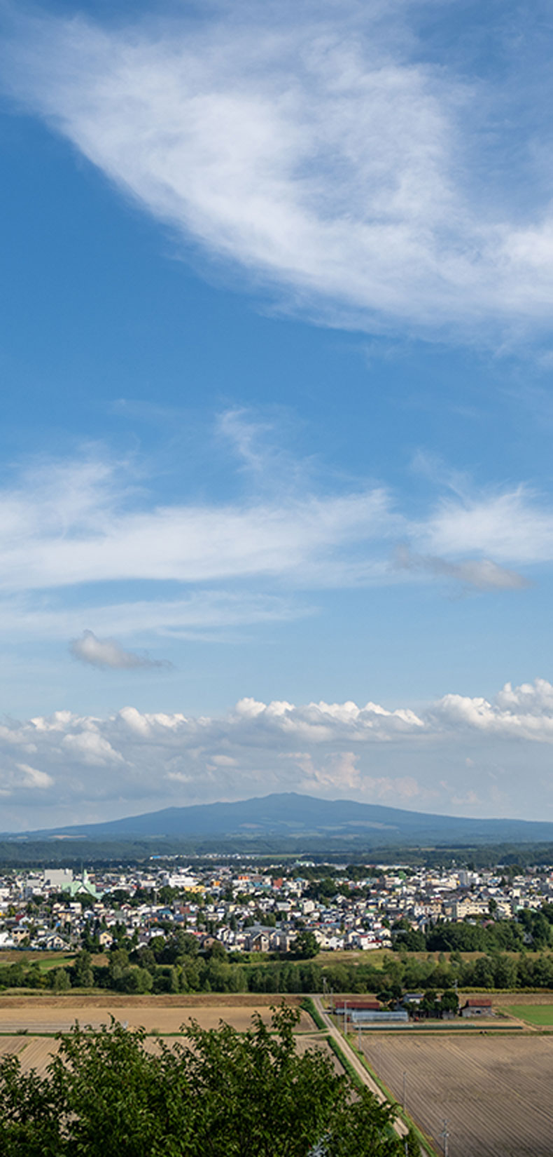 メインビジュアル06