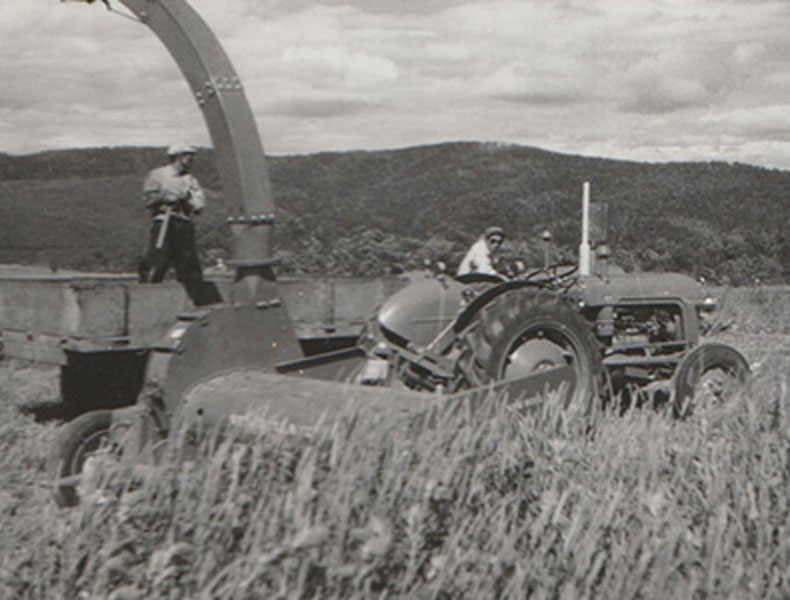 パララックス画像